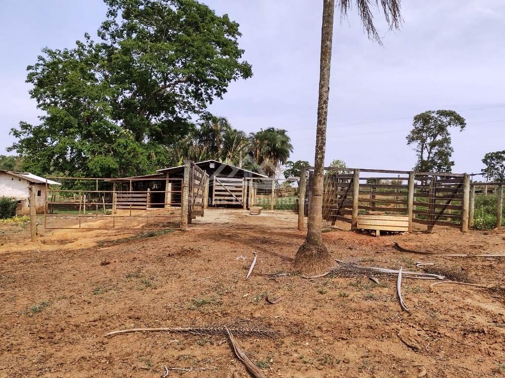 Fazenda à venda com 3 quartos, 14m² - Foto 4