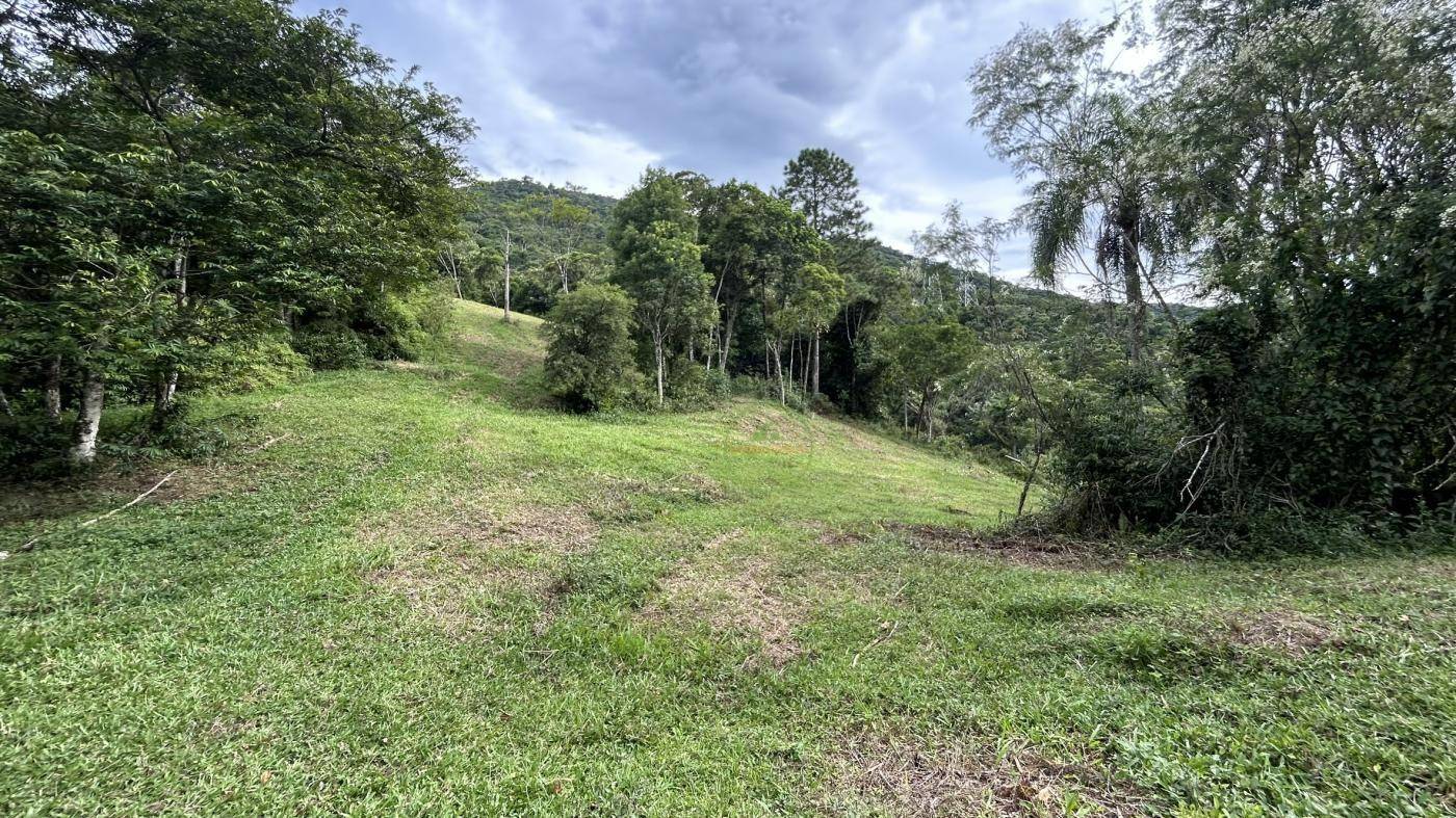 Terreno, 9 hectares - Foto 7