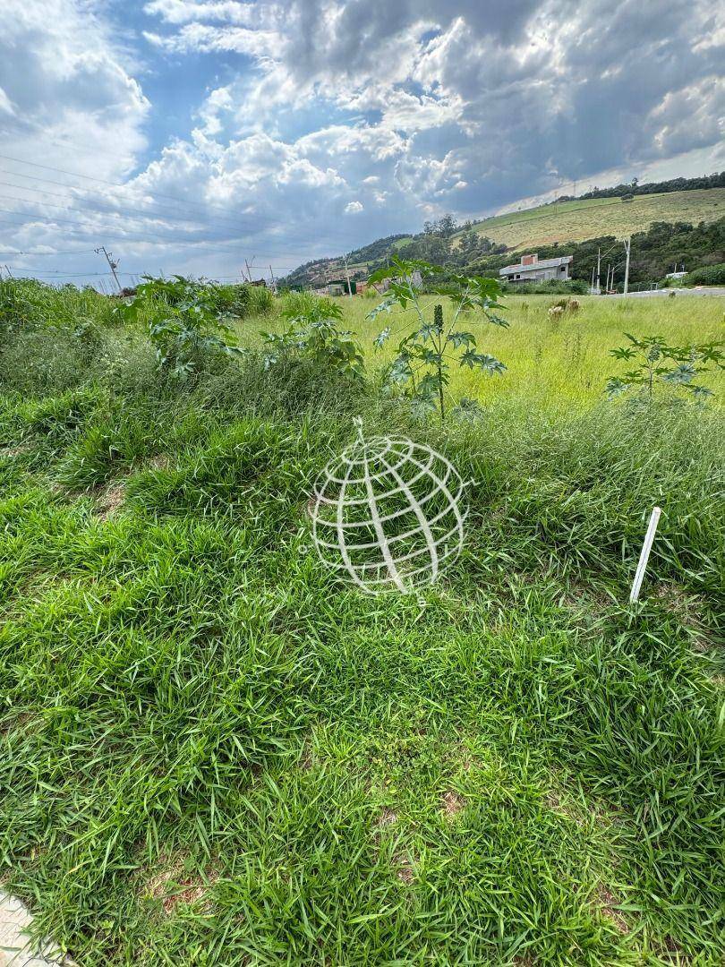 Loteamento e Condomínio à venda, 378M2 - Foto 2