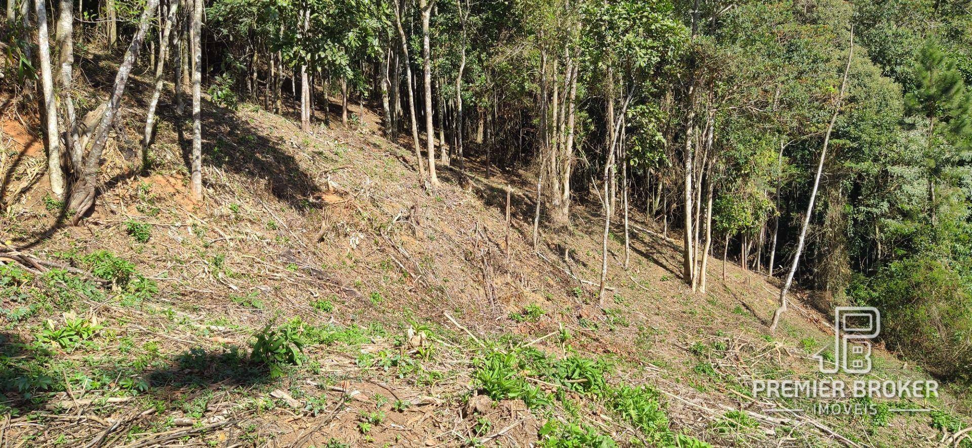 Terreno à venda, 13500M2 - Foto 8