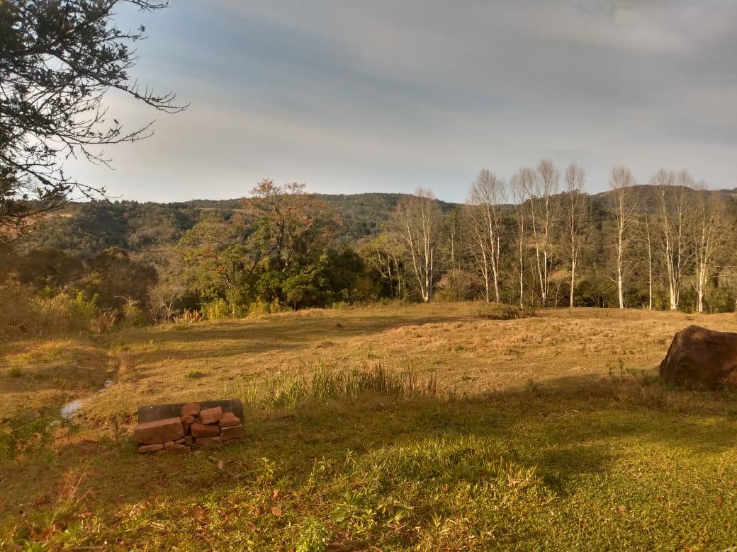 Sítio à venda com 1 quarto, 6000m² - Foto 20