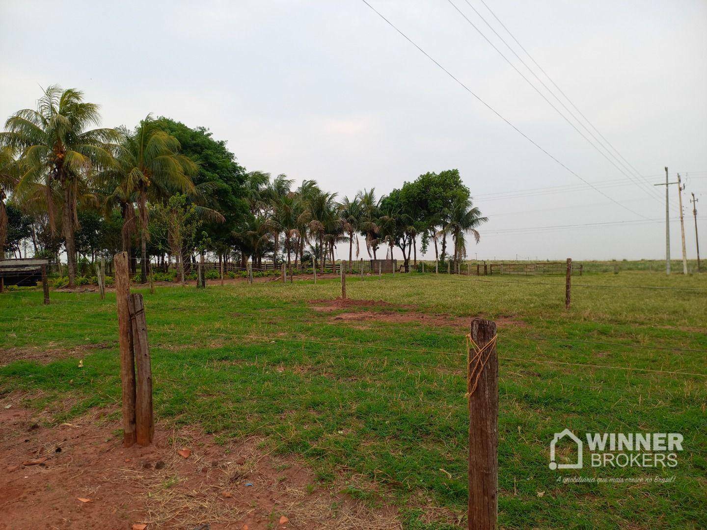 Chácara à venda com 3 quartos, 24200M2 - Foto 19