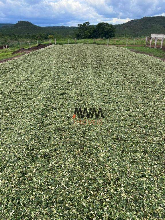 Fazenda à venda, 30000000M2 - Foto 12