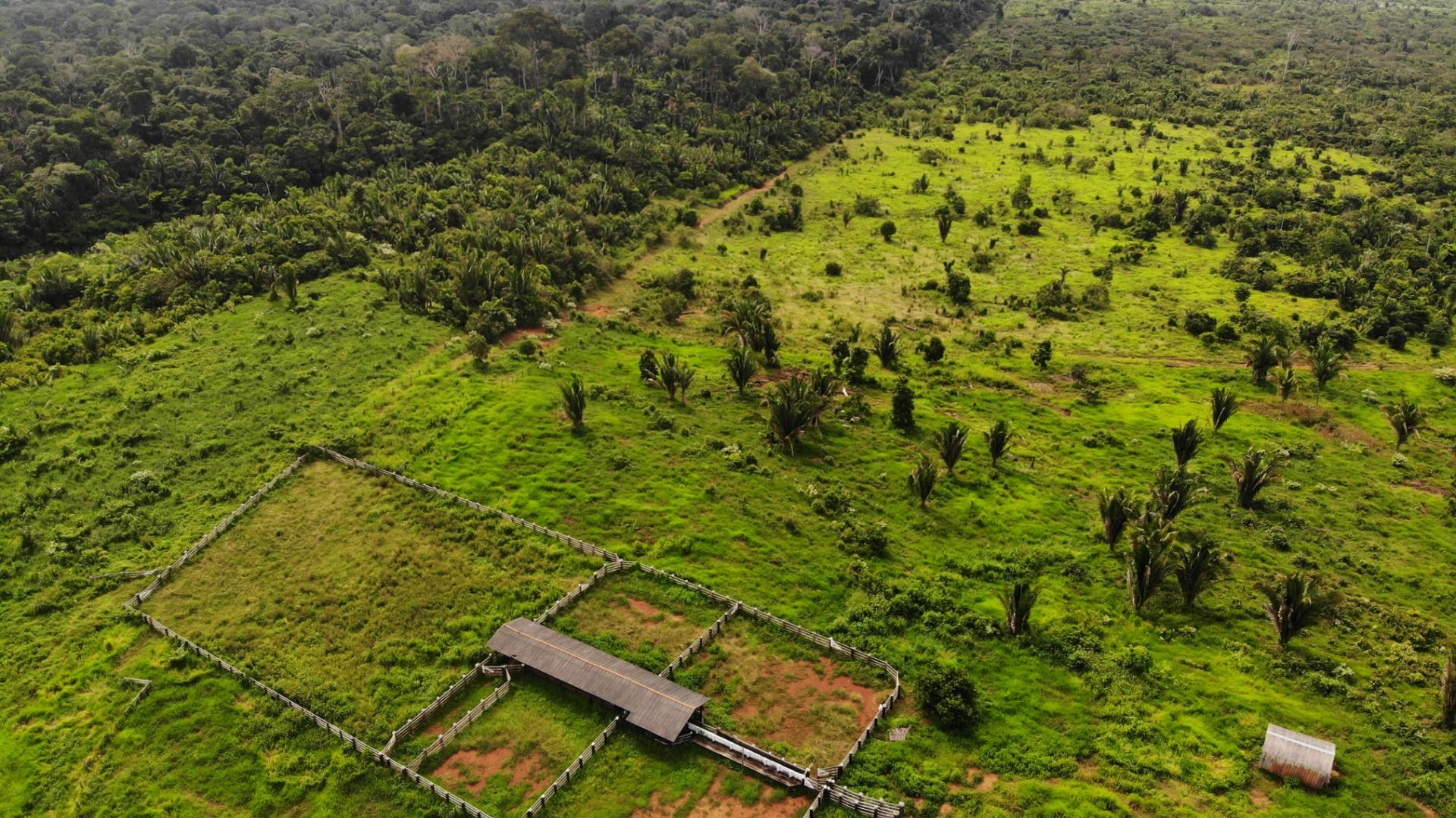 Fazenda à venda, 13648800M2 - Foto 16