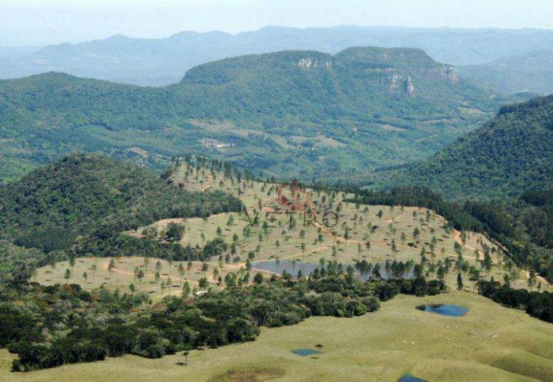 Terreno à venda, 980000M2 - Foto 1