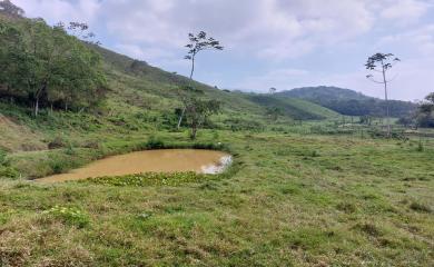 Fazenda à venda com 3 quartos, 290000m² - Foto 22