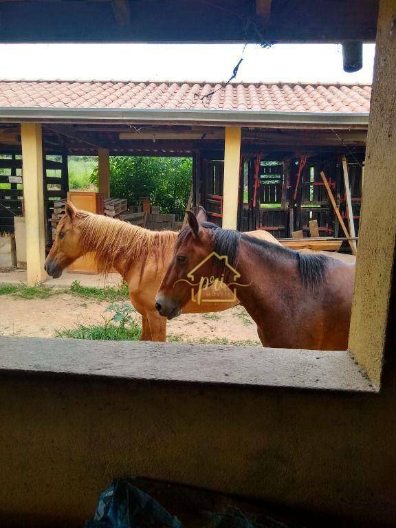 Fazenda à venda com 5 quartos, 1000m² - Foto 7