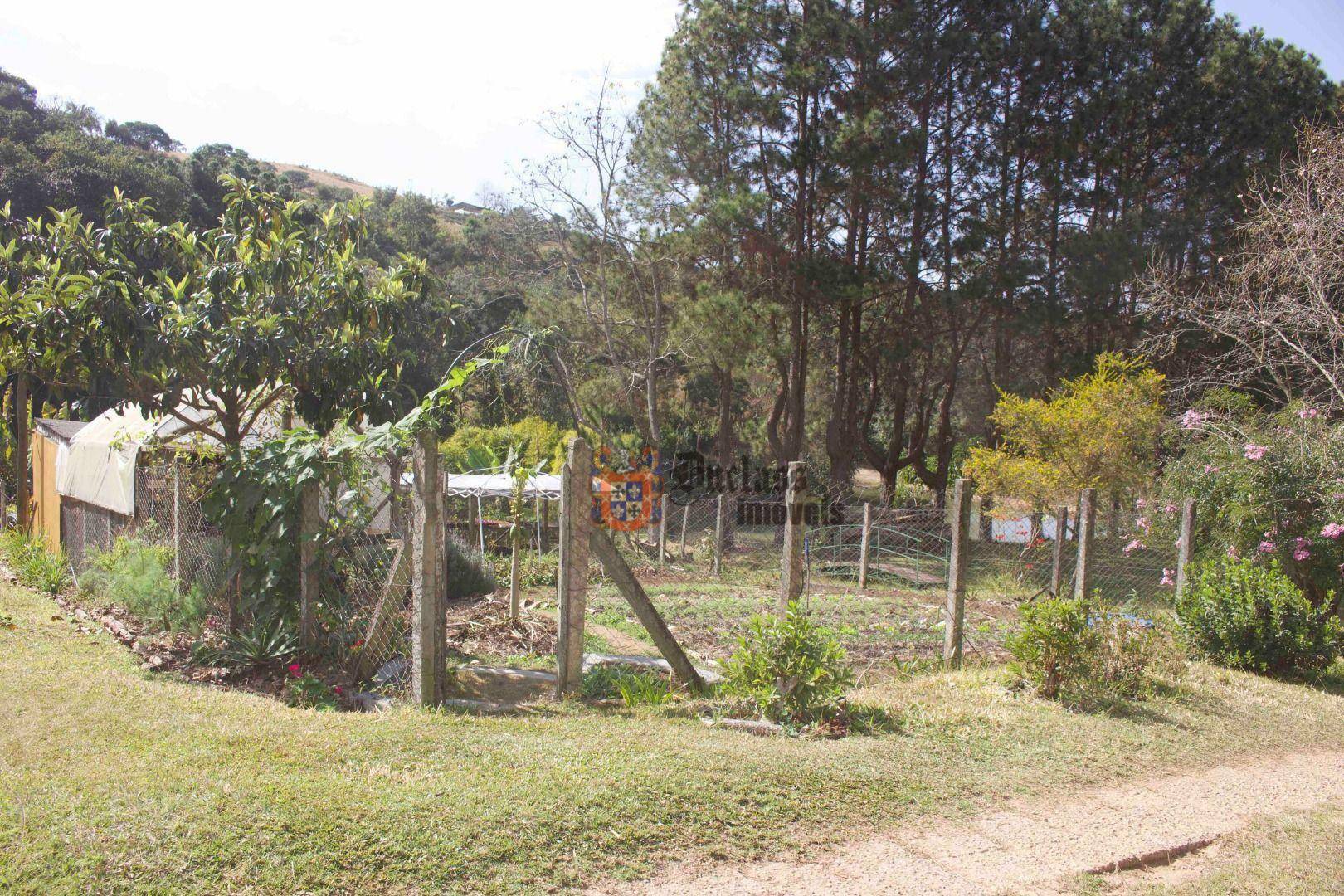 Sítio à venda com 19 quartos, 1859m² - Foto 205