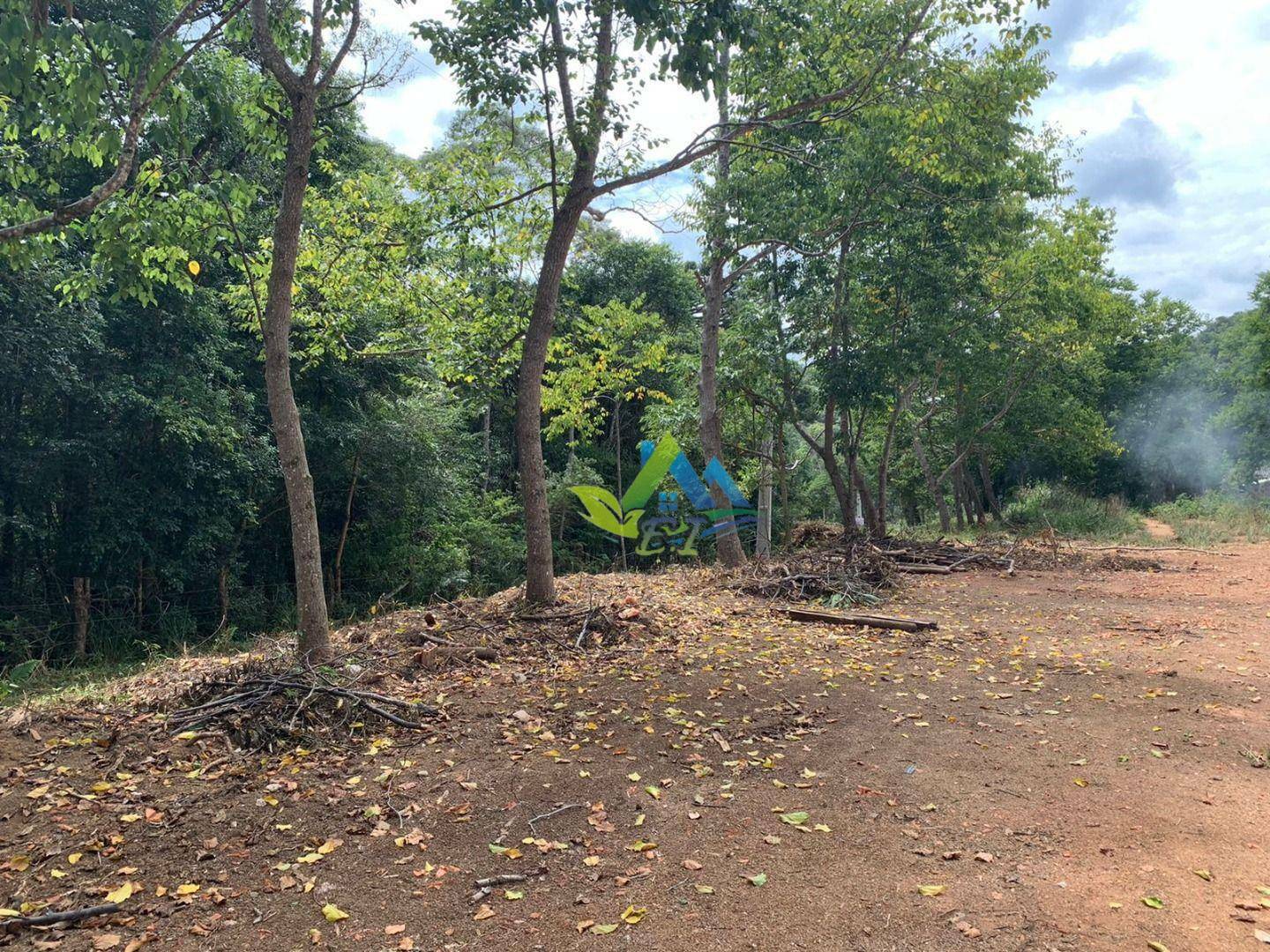 Terreno à venda, 3000M2 - Foto 5