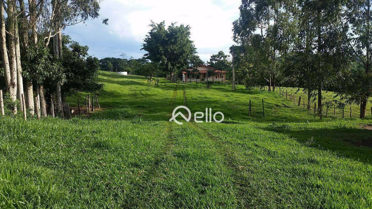 Sítio à venda com 3 quartos, 120000M2 - Foto 21