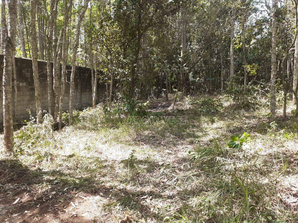 Loteamento e Condomínio à venda, 980M2 - Foto 7