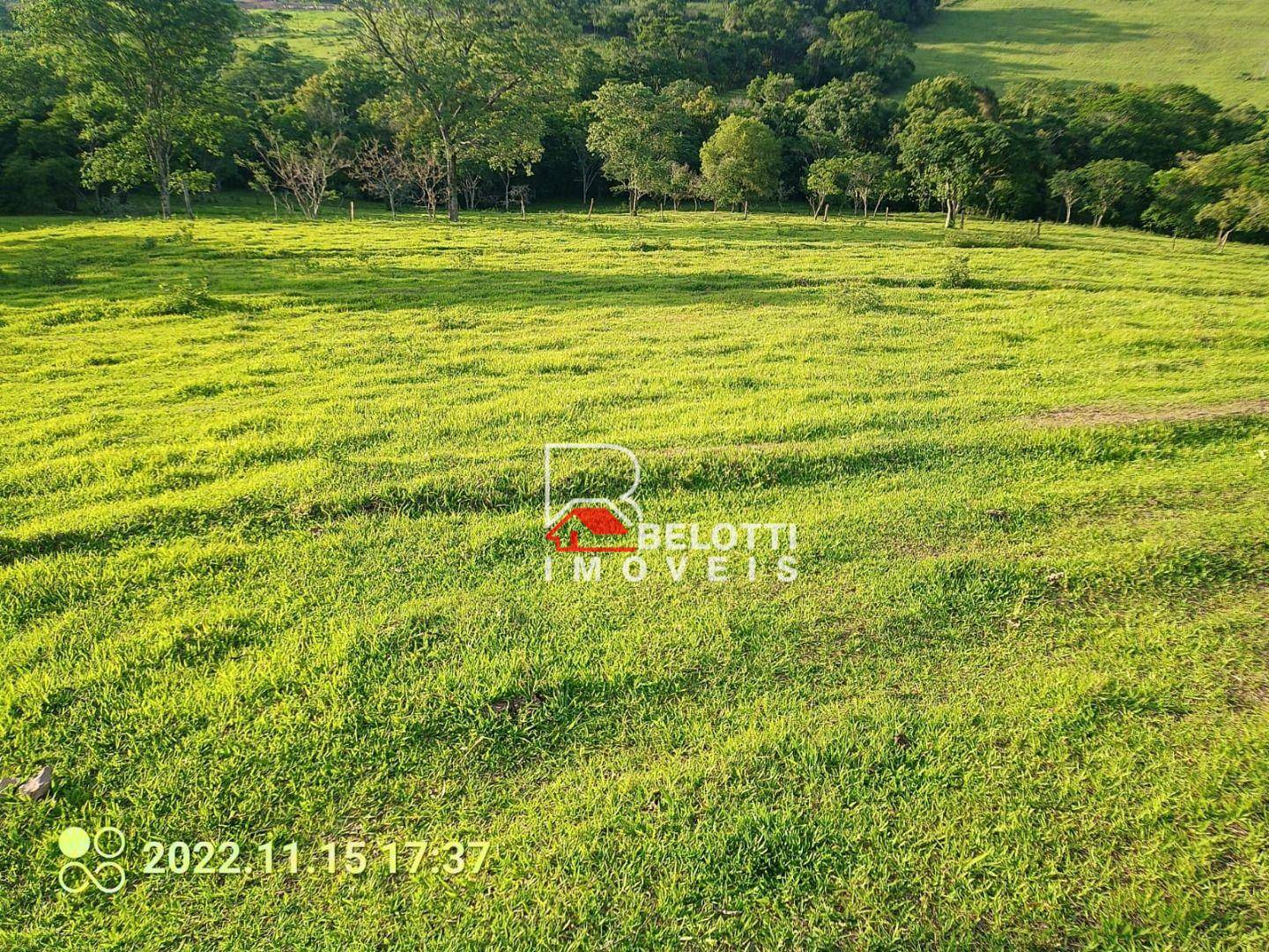 Sítio, 2 quartos, 3 hectares - Foto 2