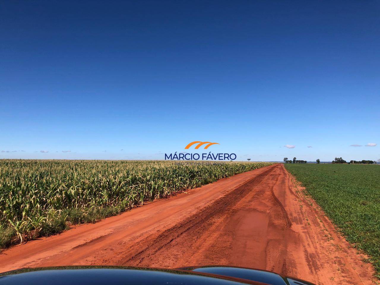 Fazenda, 581 hectares - Foto 1