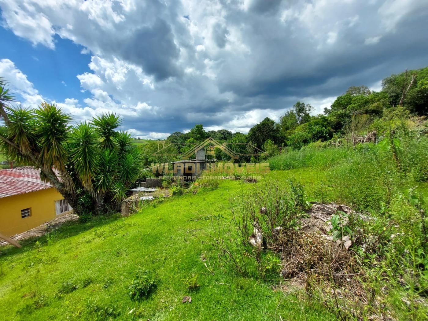 Fazenda à venda com 7 quartos, 15000m² - Foto 6