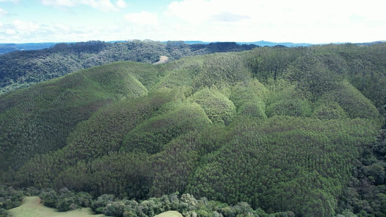 Fazenda à venda, 1564600m² - Foto 26