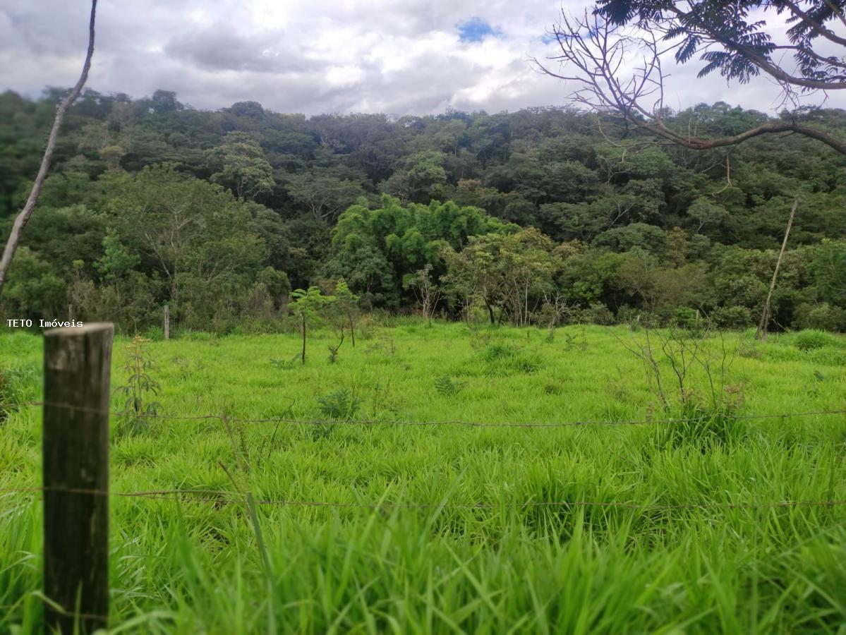 Terreno à venda, 1650m² - Foto 4