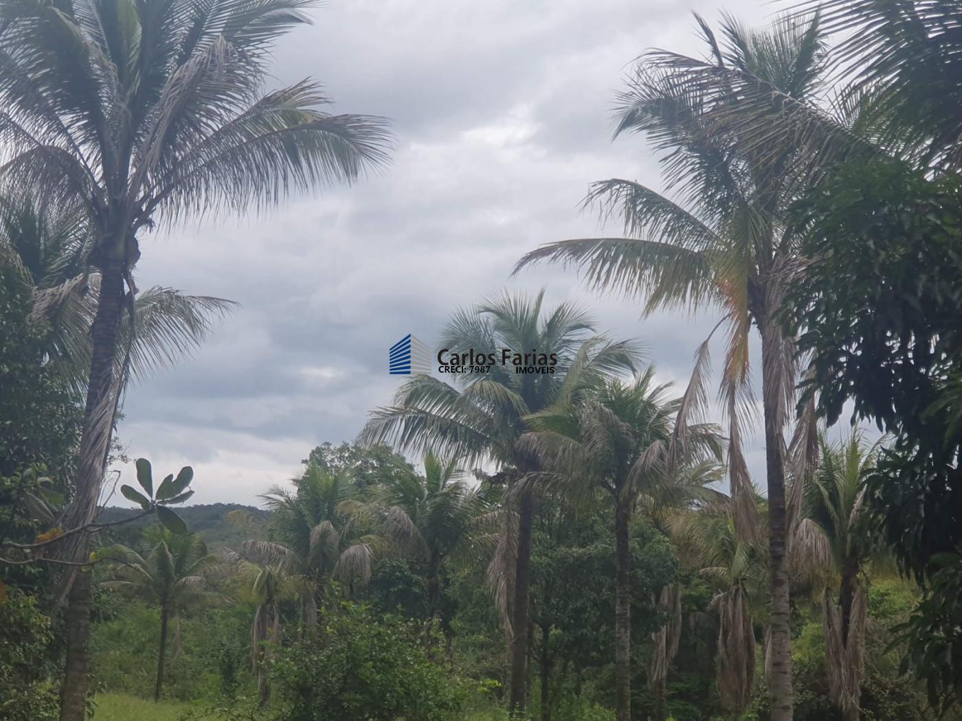 Fazenda à venda com 4 quartos, 300m² - Foto 24