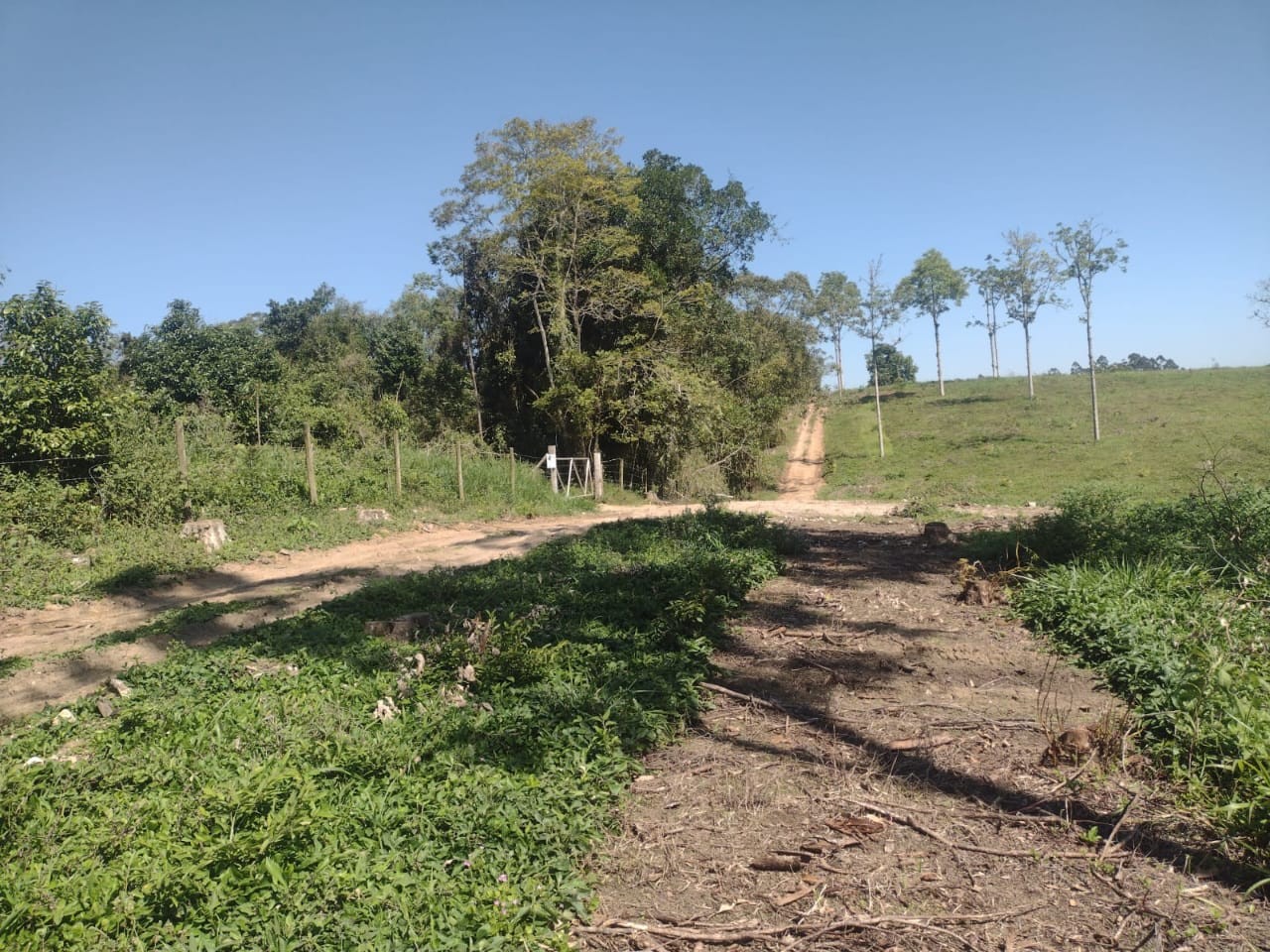 Chácara à venda, 140000m² - Foto 14