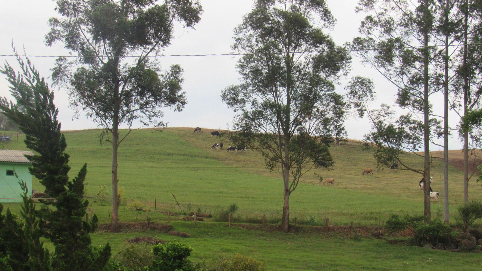 Loteamento e Condomínio à venda, 267000m² - Foto 29