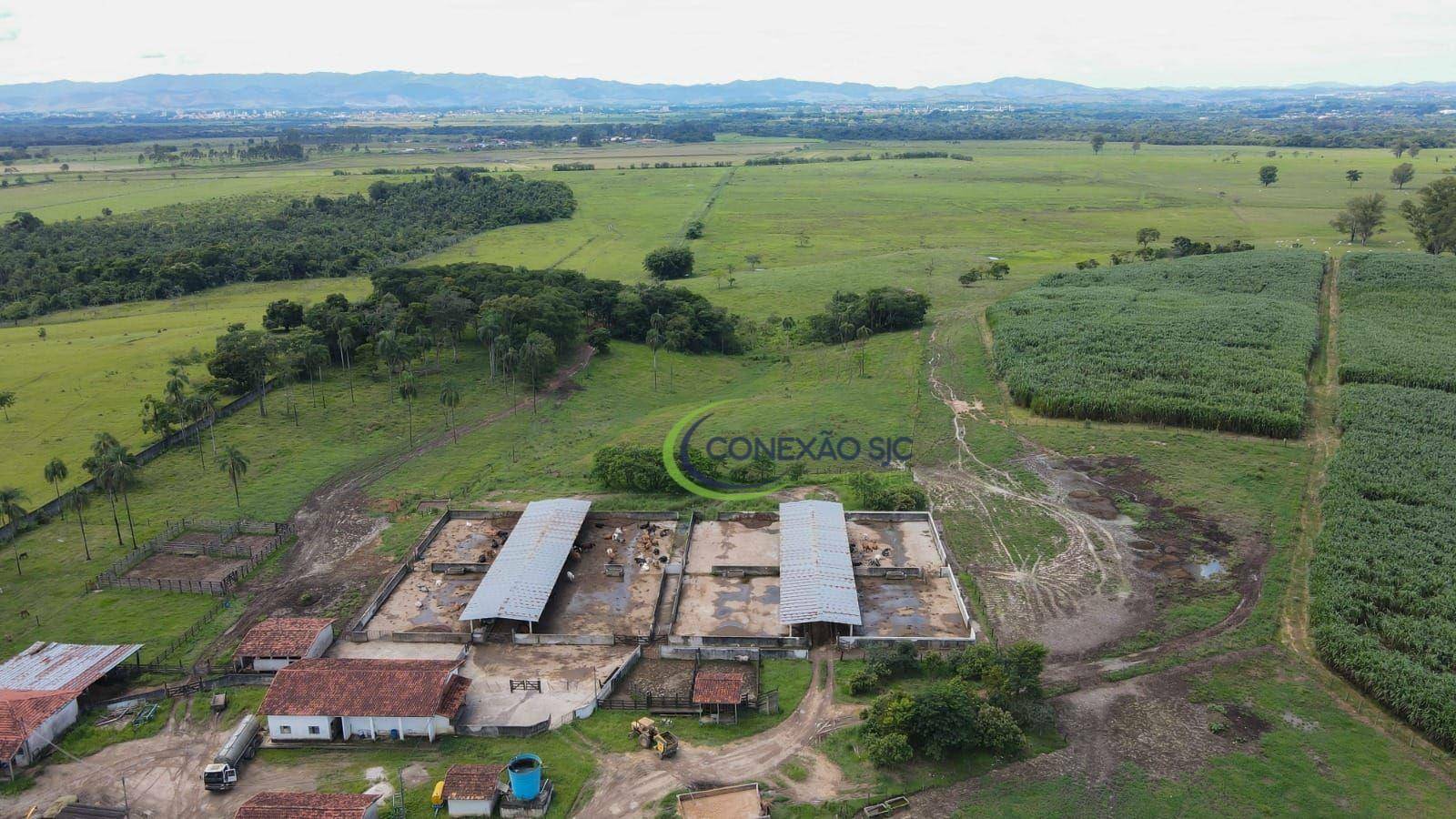 Fazenda à venda com 7 quartos, 968000M2 - Foto 10