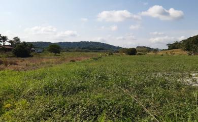 Fazenda à venda com 3 quartos, 110000m² - Foto 17