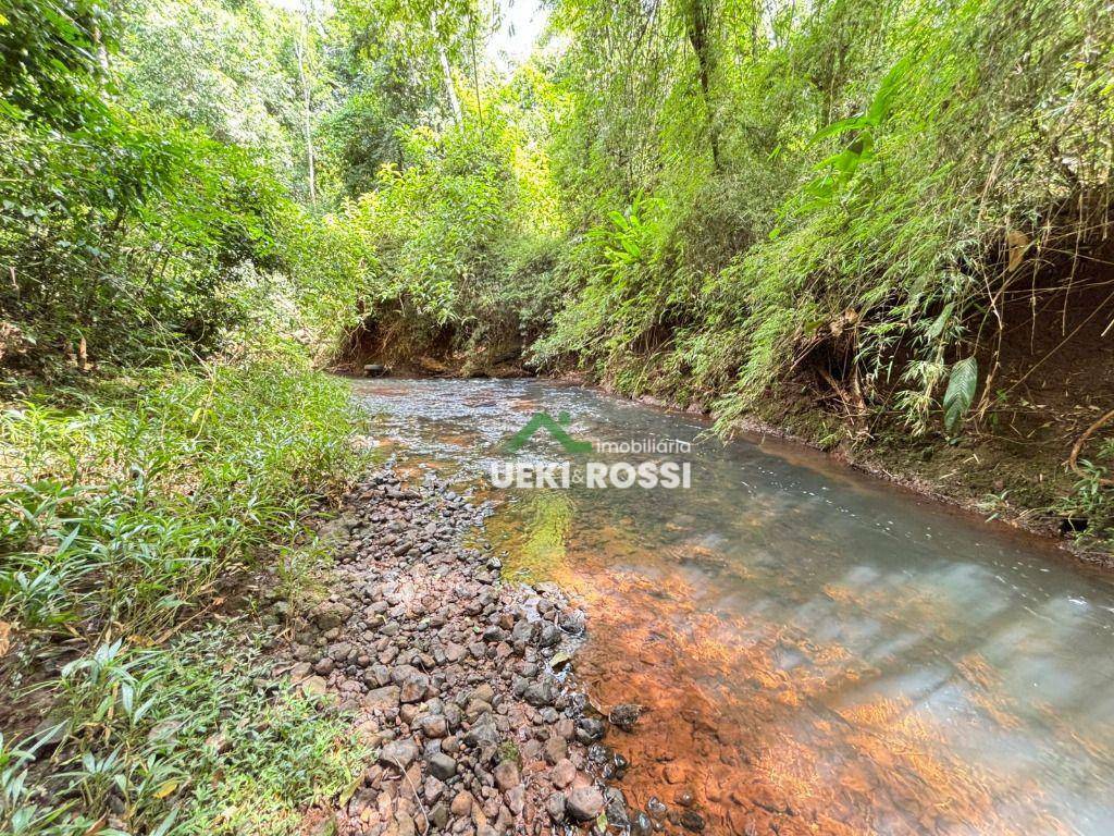 Chácara à venda com 2 quartos, 10000M2 - Foto 12