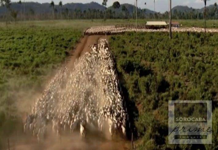 Fazenda à venda, 4270000000M2 - Foto 3