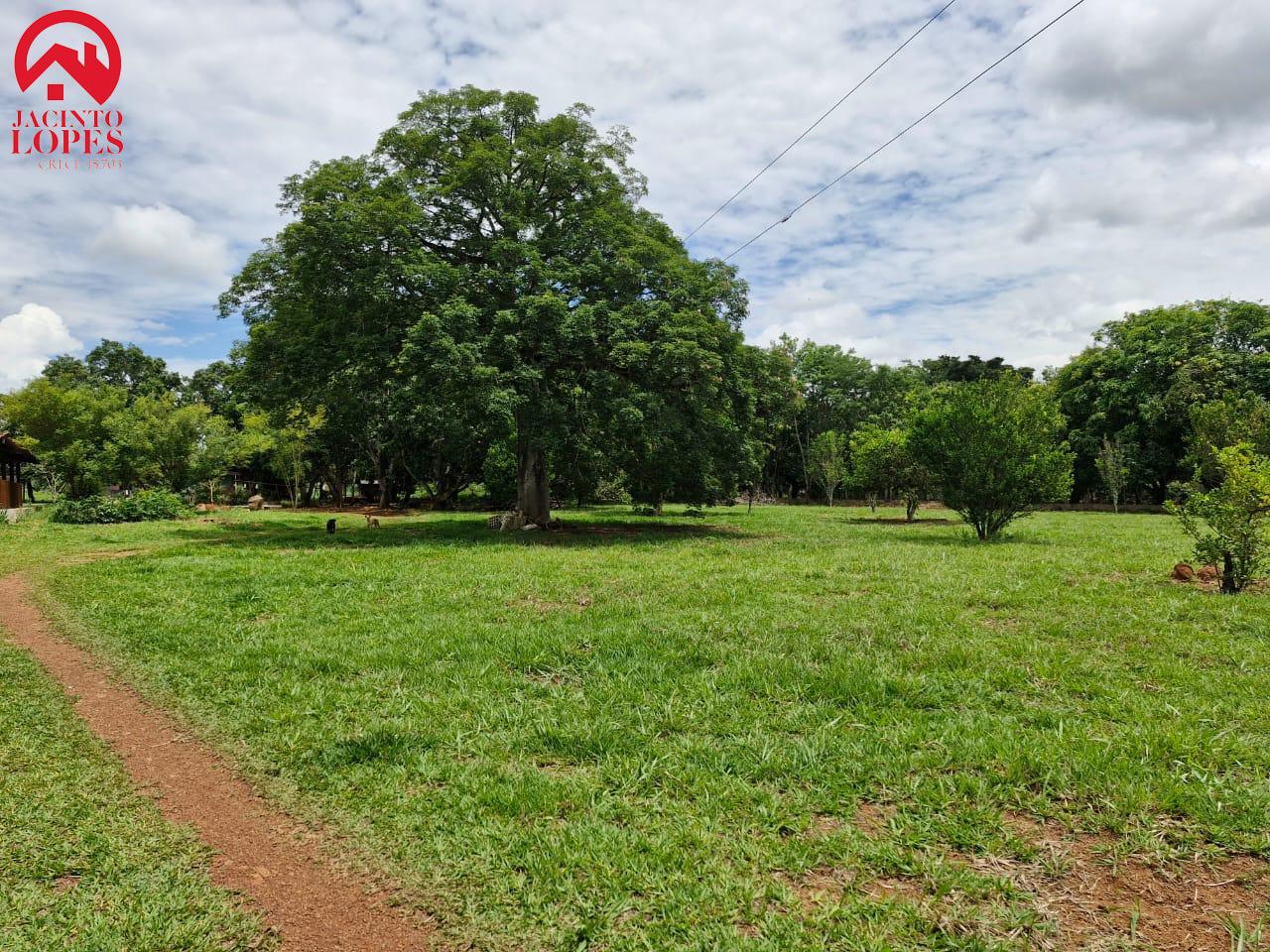 Fazenda à venda com 3 quartos, 250m² - Foto 16