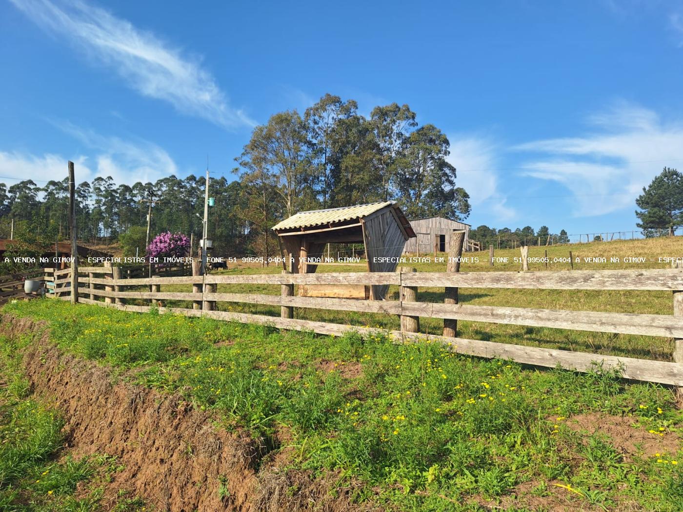 Fazenda à venda com 4 quartos, 80000m² - Foto 34