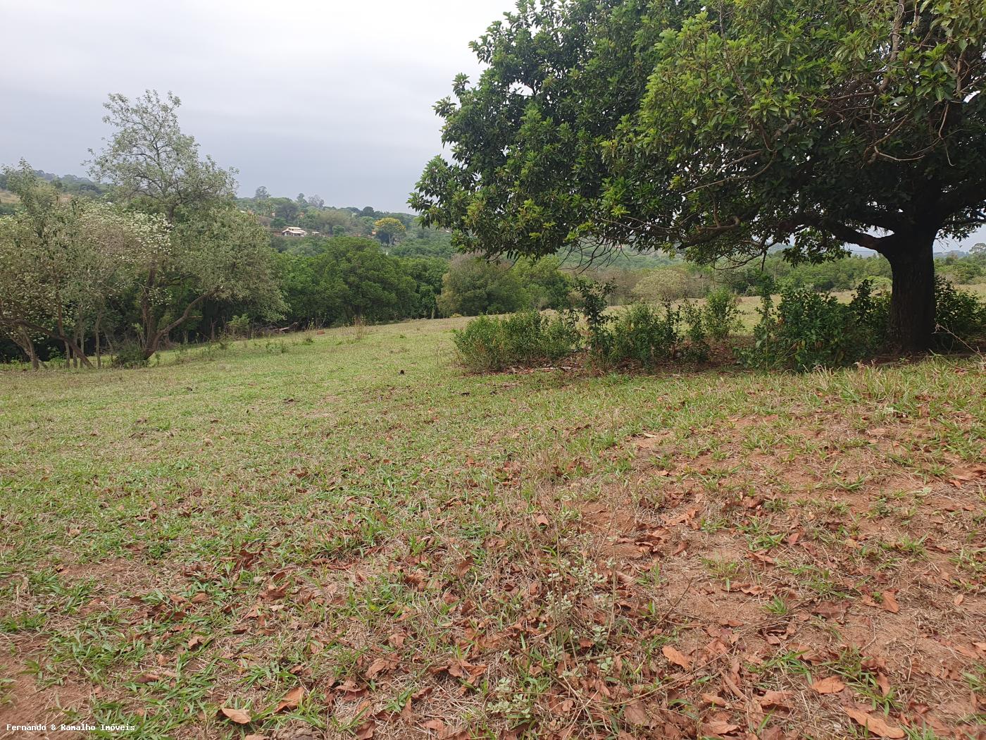 Fazenda à venda com 3 quartos, 80000m² - Foto 22