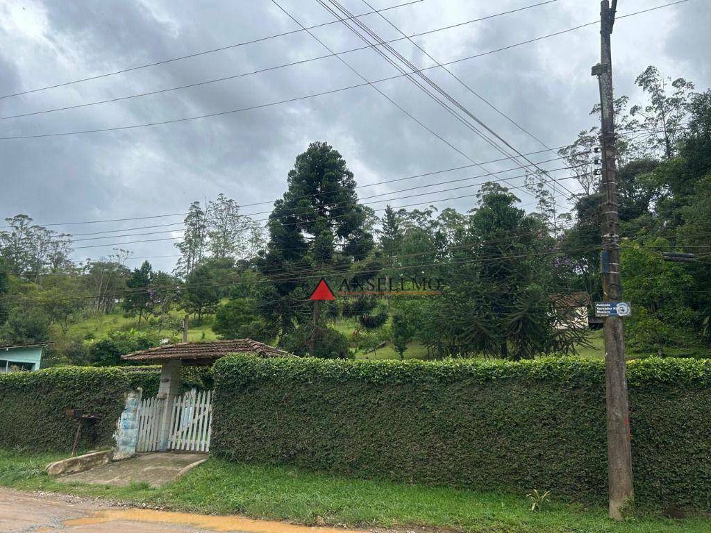 Chácara à venda com 3 quartos, 200m² - Foto 4