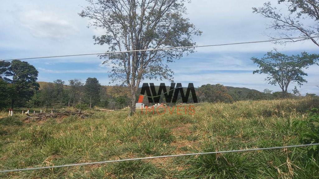 Fazenda à venda, 726000M2 - Foto 7