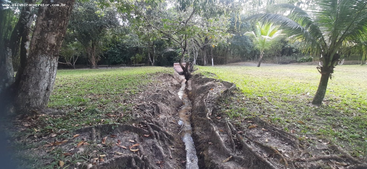 Chácara à venda com 50 quartos, 40000m² - Foto 11