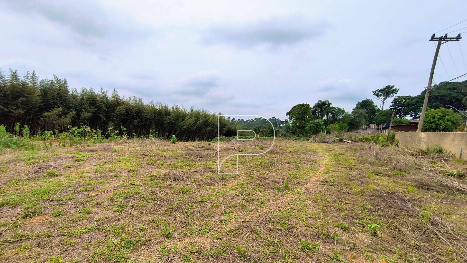 Terreno à venda, 2460M2 - Foto 4