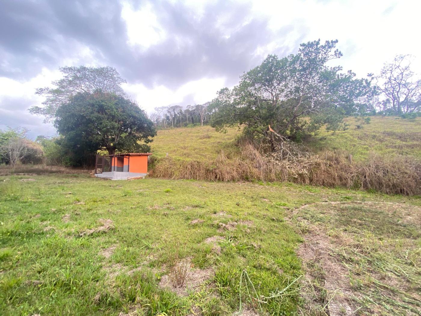 Sítio à venda com 5 quartos, 170000m² - Foto 35