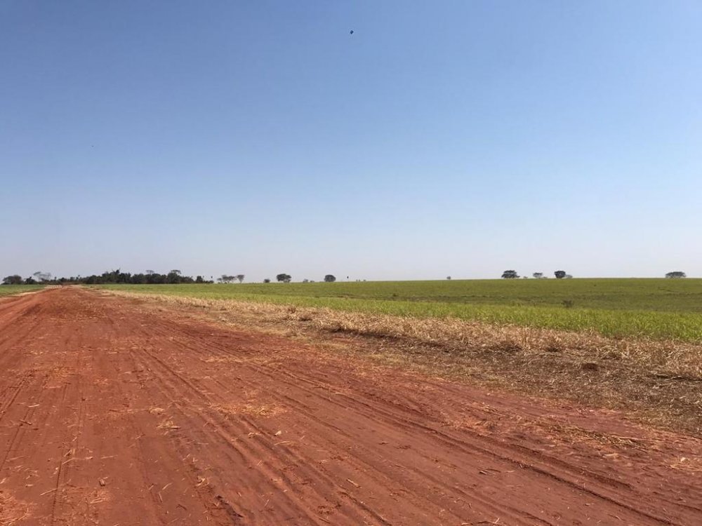 Fazenda, 373 hectares - Foto 2