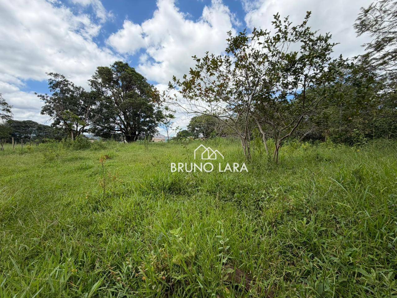 Terreno, 16 hectares - Foto 12