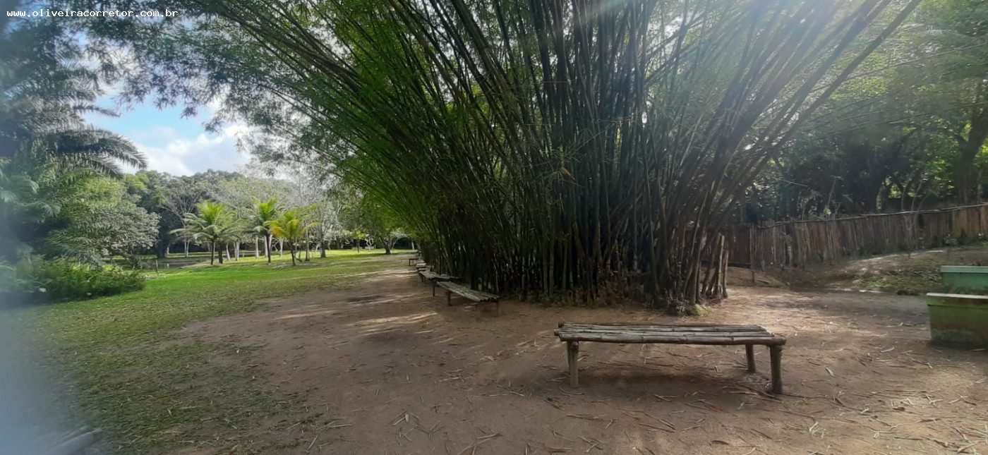 Chácara à venda com 50 quartos, 40000m² - Foto 24
