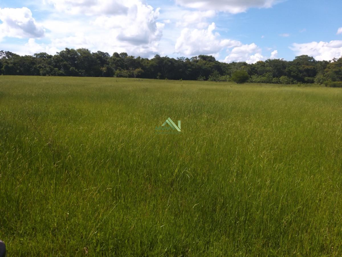 Fazenda à venda com 4 quartos, 430000m² - Foto 25