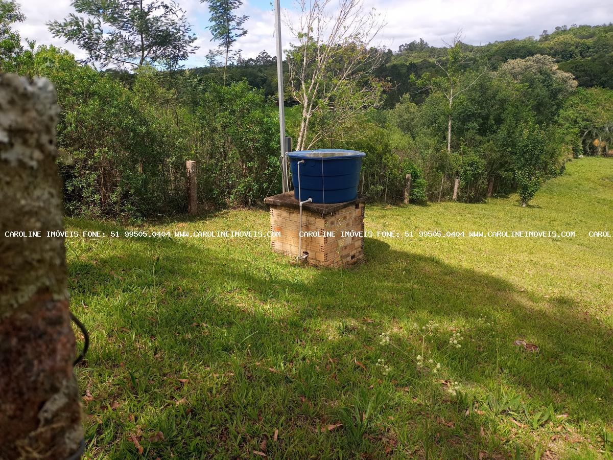 Fazenda à venda com 3 quartos, 29000m² - Foto 6