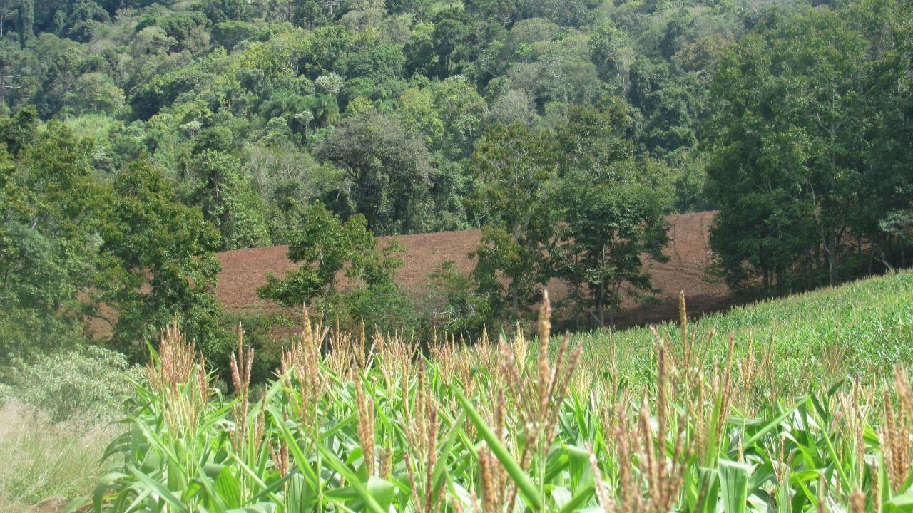 Loteamento e Condomínio à venda, 120000m² - Foto 9