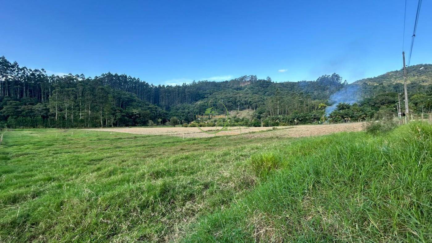 Terreno, 1300 m² - Foto 2