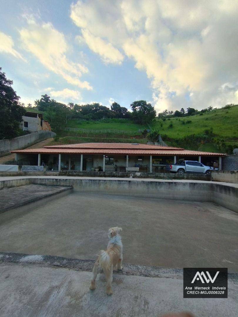 Chácara à venda com 5 quartos, 9000M2 - Foto 4