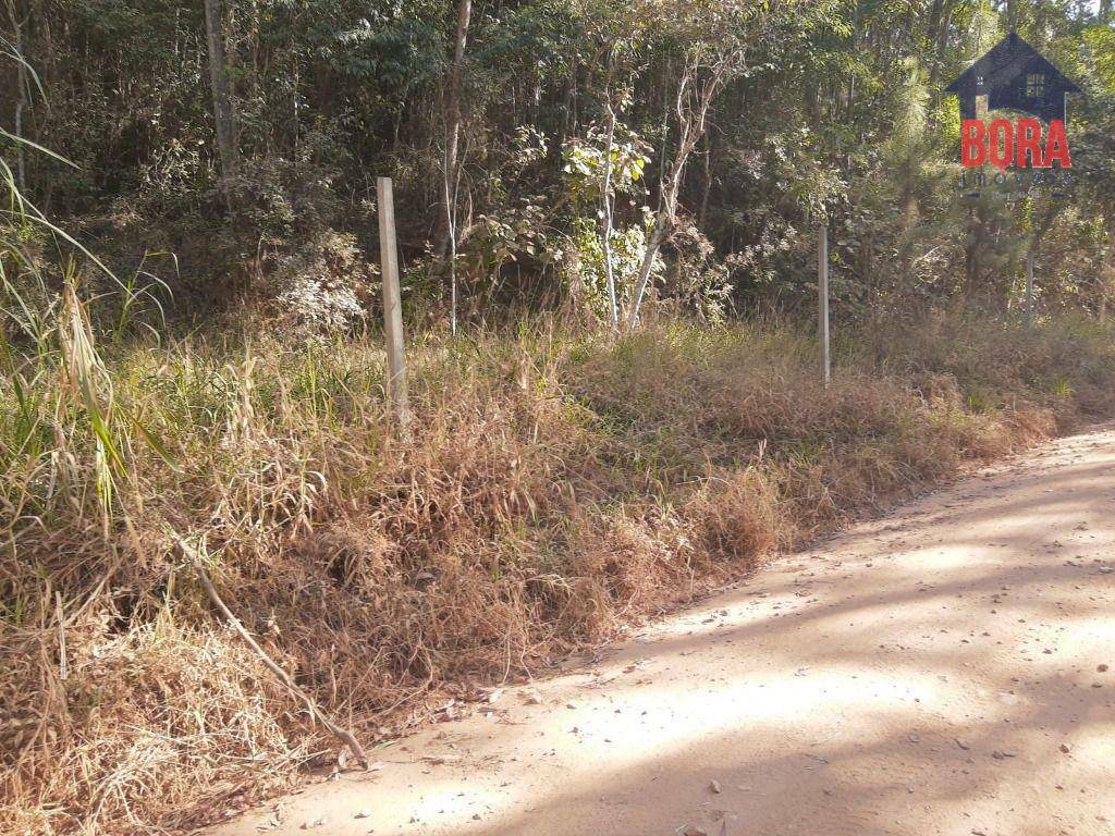 Loteamento e Condomínio à venda, 1300M2 - Foto 2