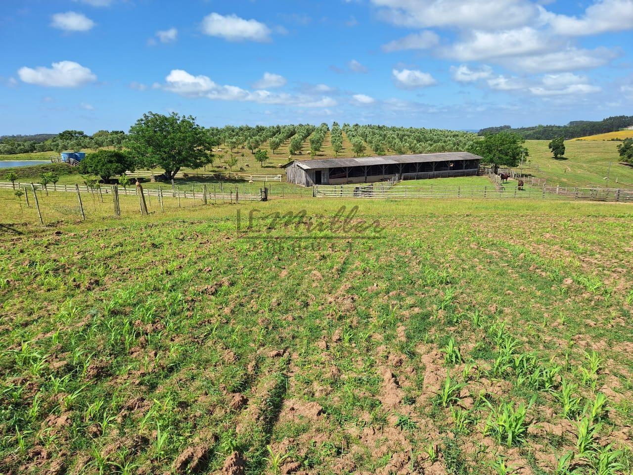 Fazenda à venda, 59m² - Foto 17