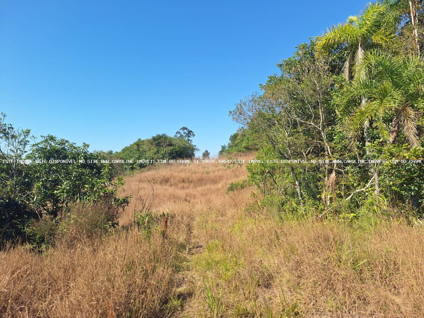 Loteamento e Condomínio à venda, 50000m² - Foto 1