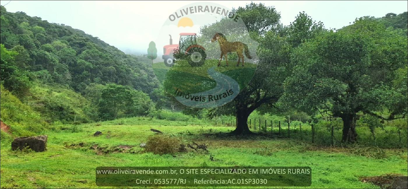 Sítio à venda com 2 quartos, 75000m² - Foto 15