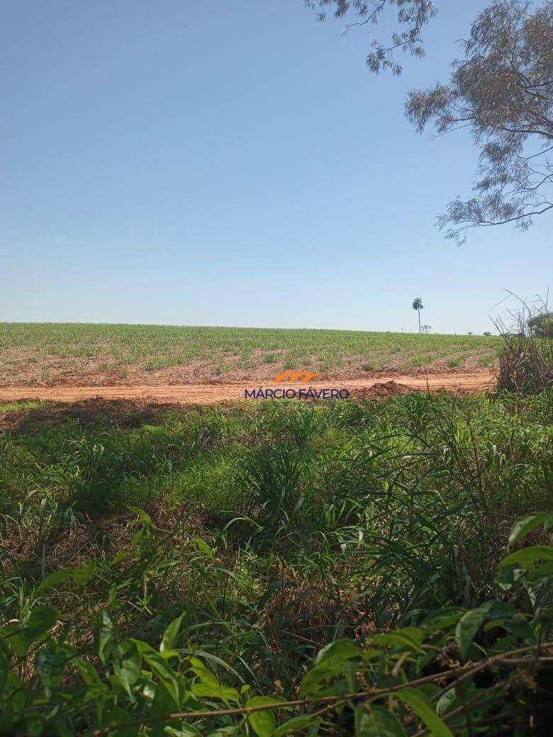 Fazenda, 385 hectares - Foto 4