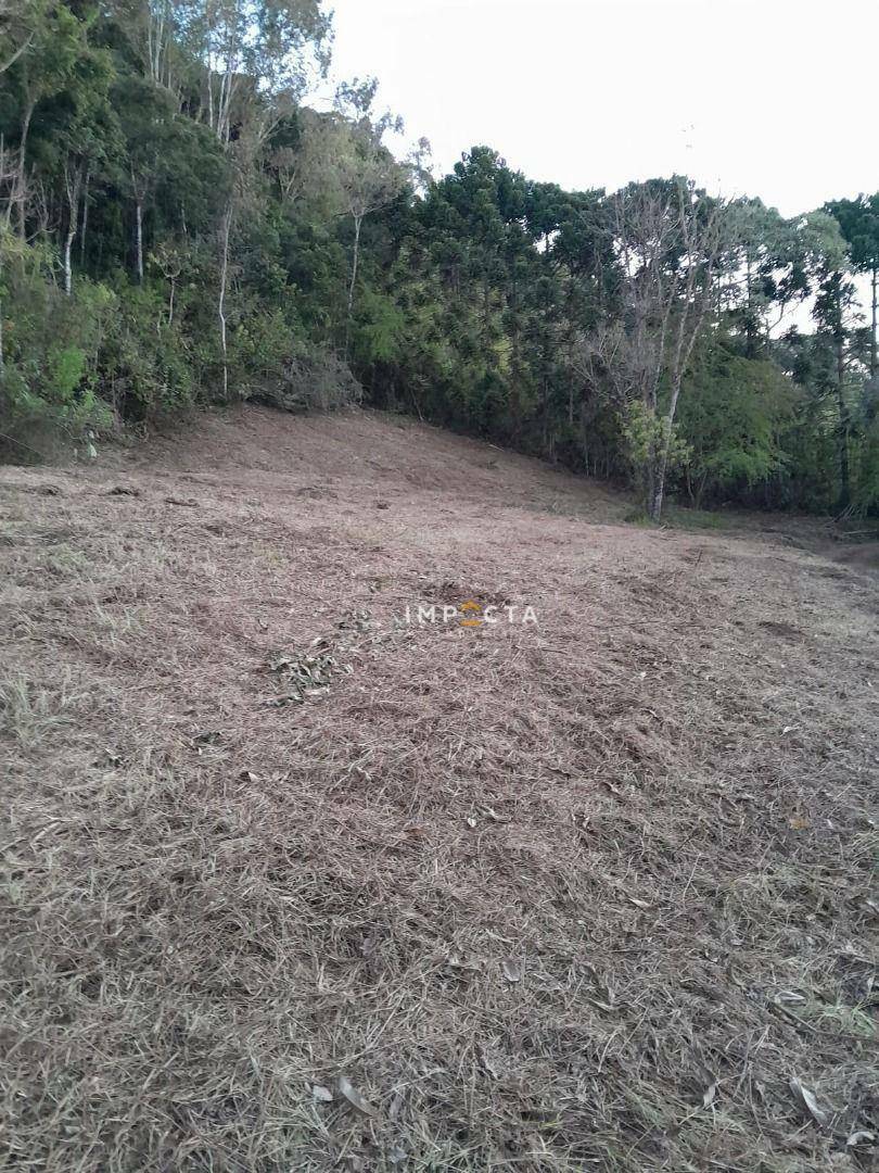 Terreno à venda, 73000M2 - Foto 1