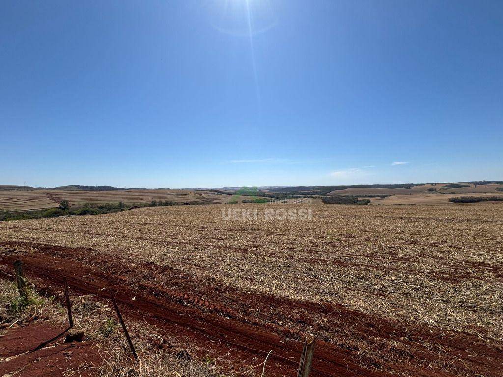 Fazenda, 232 hectares - Foto 3